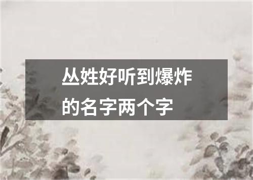 丛姓好听到爆炸的名字两个字