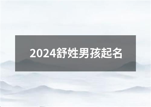 2024舒姓男孩起名