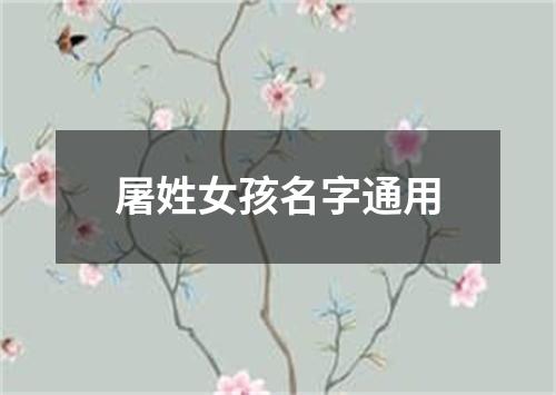 屠姓女孩名字通用