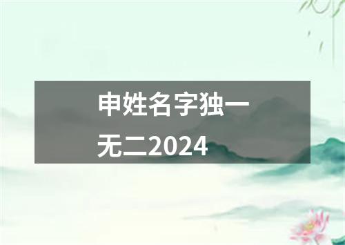 申姓名字独一无二2024