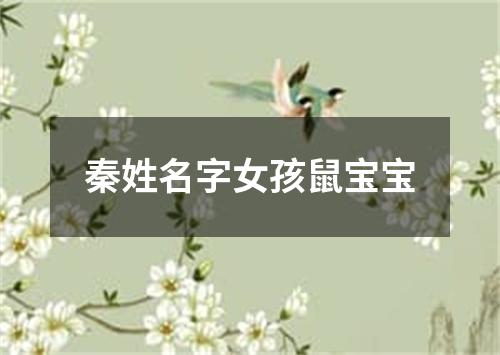 秦姓名字女孩鼠宝宝