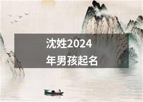 沈姓2024年男孩起名