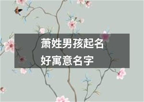 萧姓男孩起名好寓意名字