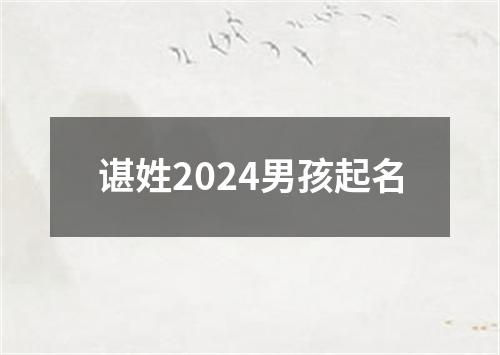 谌姓2024男孩起名