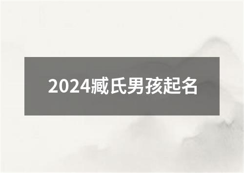 2024臧氏男孩起名