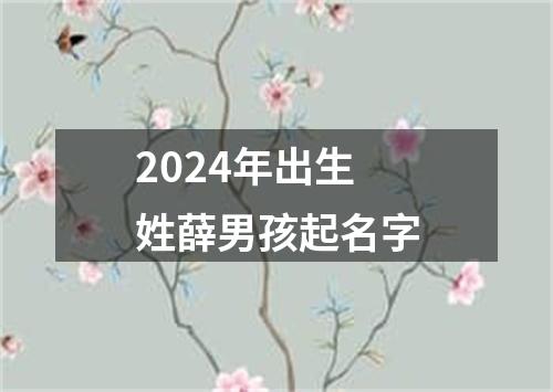 2024年出生姓薛男孩起名字