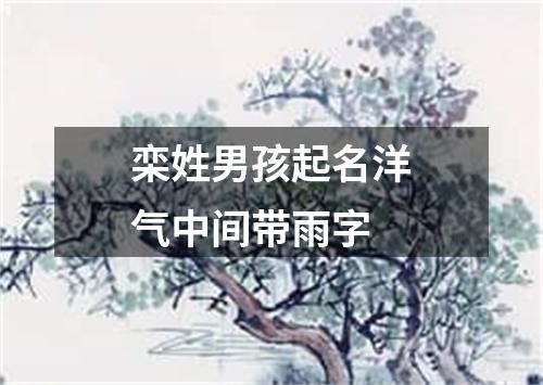 栾姓男孩起名洋气中间带雨字