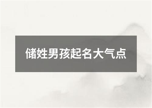 储姓男孩起名大气点