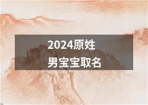 2024原姓男宝宝取名