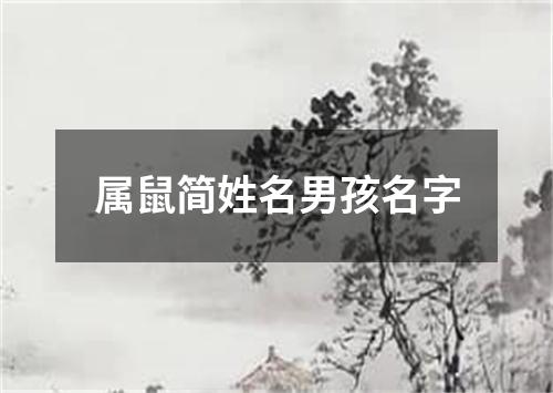 属鼠简姓名男孩名字