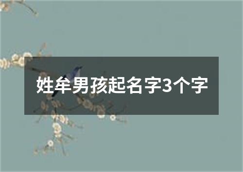 姓牟男孩起名字3个字