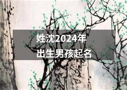 姓沈2024年出生男孩起名