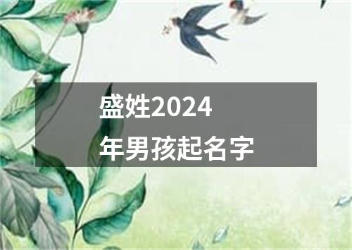 盛姓2024年男孩起名字