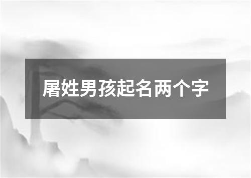 屠姓男孩起名两个字