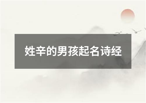 姓辛的男孩起名诗经