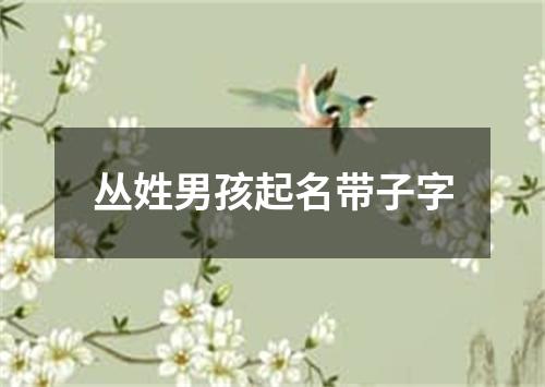 丛姓男孩起名带子字