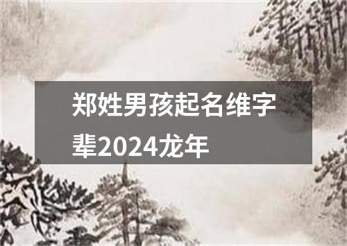 郑姓男孩起名维字辈2024龙年