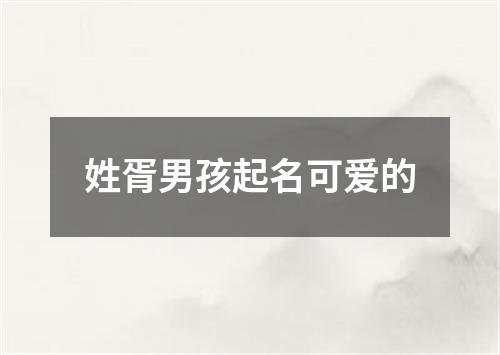 姓胥男孩起名可爱的