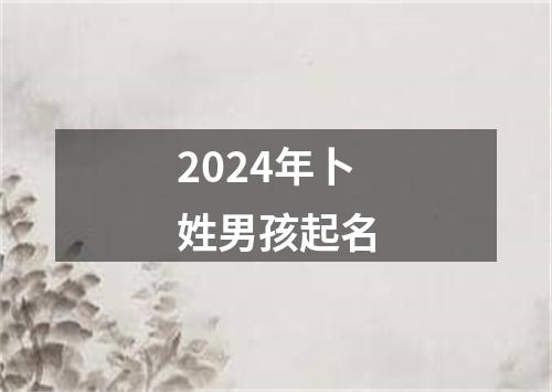 2024年卜姓男孩起名