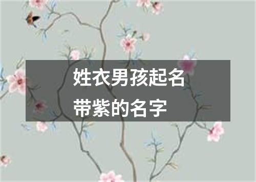 姓衣男孩起名带紫的名字