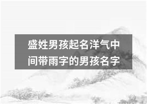 盛姓男孩起名洋气中间带雨字的男孩名字