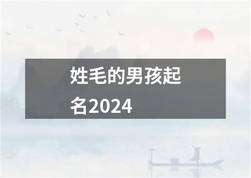 姓毛的男孩起名2024