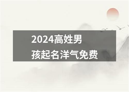 2024高姓男孩起名洋气免费