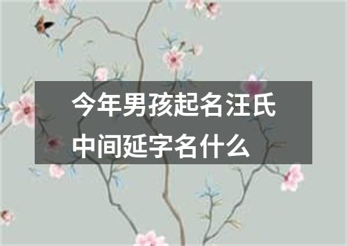 今年男孩起名汪氏中间延字名什么