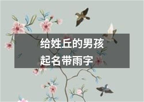 给姓丘的男孩起名带雨字