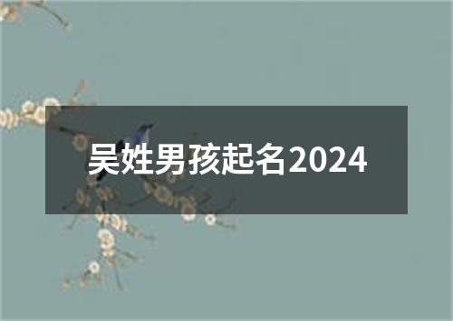 吴姓男孩起名2024