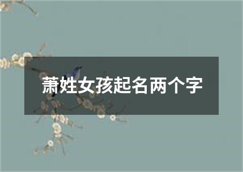 萧姓女孩起名两个字