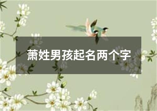 萧姓男孩起名两个字