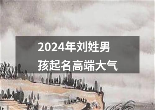 2024年刘姓男孩起名高端大气