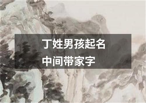 丁姓男孩起名中间带家字