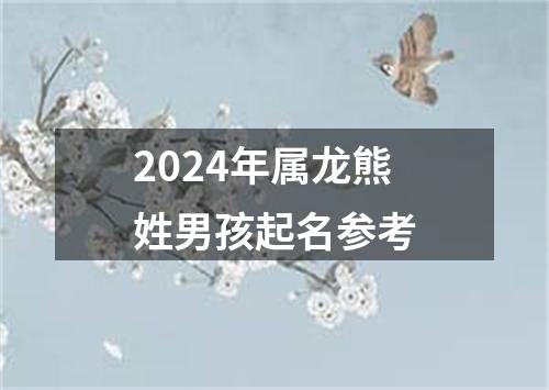 2024年属龙熊姓男孩起名参考