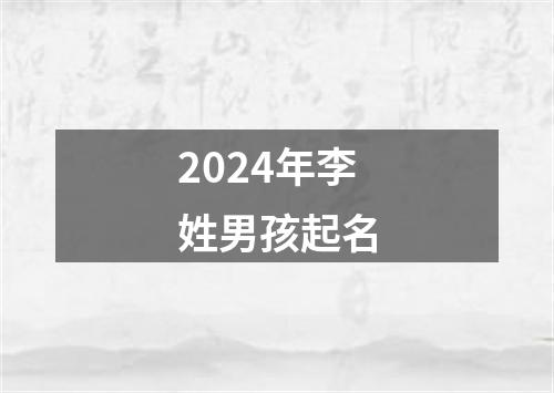 2024年李姓男孩起名