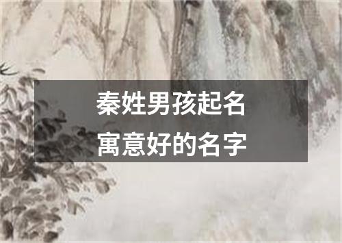 秦姓男孩起名寓意好的名字