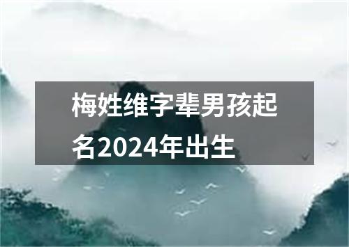 梅姓维字辈男孩起名2024年出生