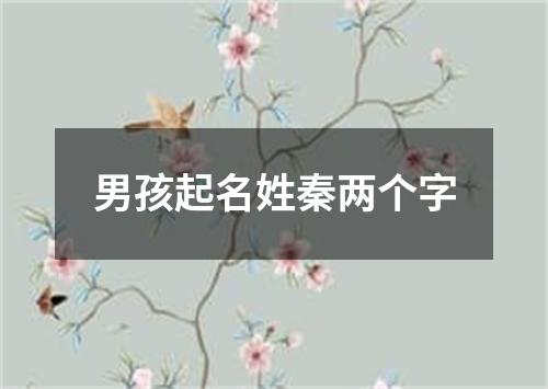 男孩起名姓秦两个字