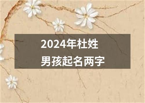 2024年杜姓男孩起名两字