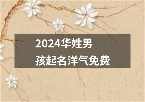 2024华姓男孩起名洋气免费