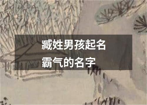 臧姓男孩起名霸气的名字