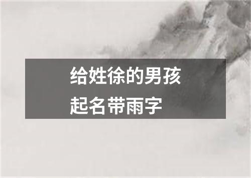 给姓徐的男孩起名带雨字