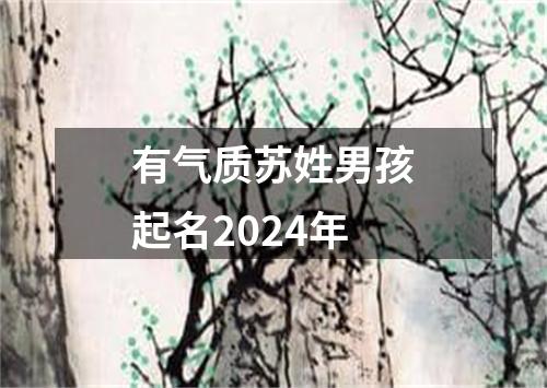 有气质苏姓男孩起名2024年