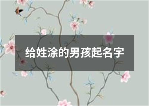 给姓涂的男孩起名字