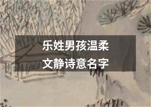 乐姓男孩温柔文静诗意名字