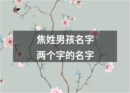 焦姓男孩名字两个字的名字