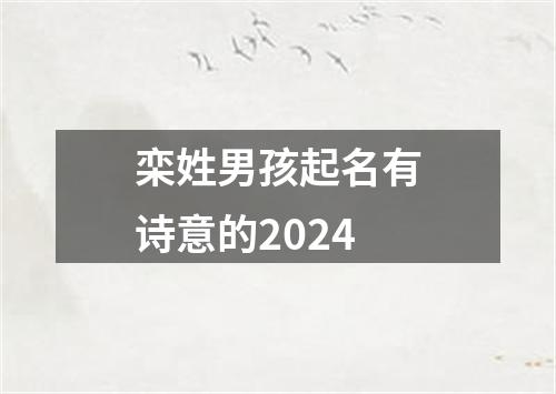 栾姓男孩起名有诗意的2024