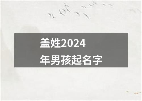 盖姓2024年男孩起名字