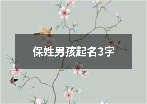 保姓男孩起名3字